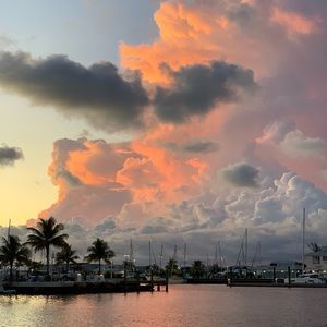 Meet your Posher, Latasha